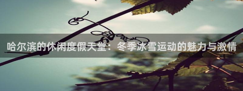 极悦娱乐(com.youad.authst)
