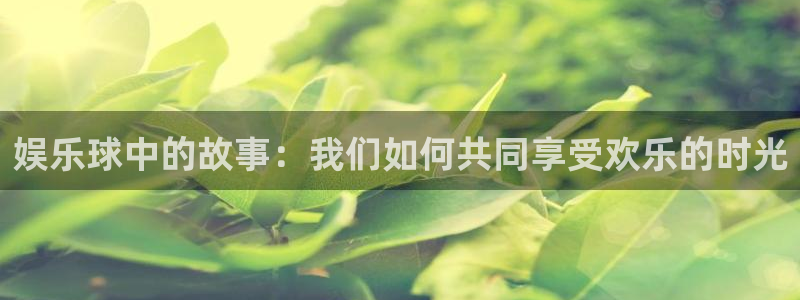 壹号app下载官方网站：娱乐球中的故事：我们如何共同享受欢乐的时光