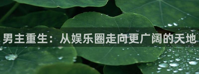 极悦娱乐平台官网版下载：男主重生：从娱乐圈走向更广阔的天地