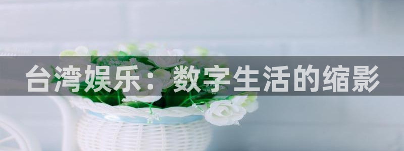 极悦娱乐加拿大app预测：台湾娱乐：数字生活的缩影